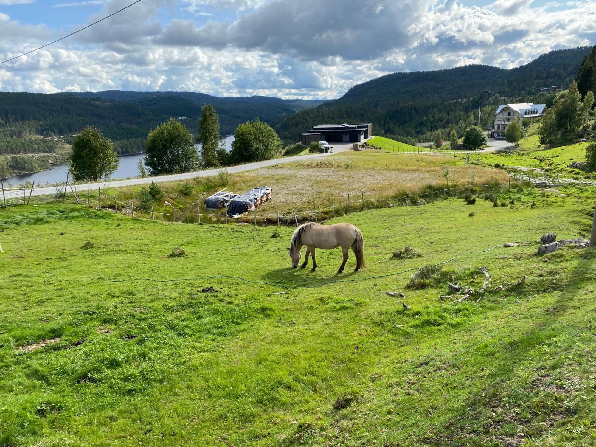 Villa Hygge Pa Fjellet Øyuvstad Exterior foto
